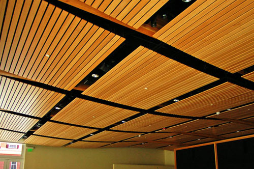 Acoustical Ceiling
