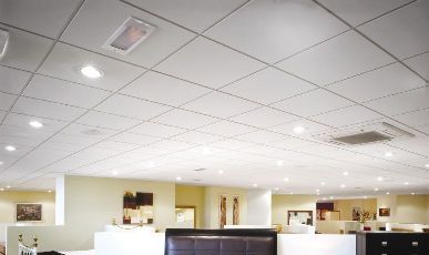Grid Ceiling
